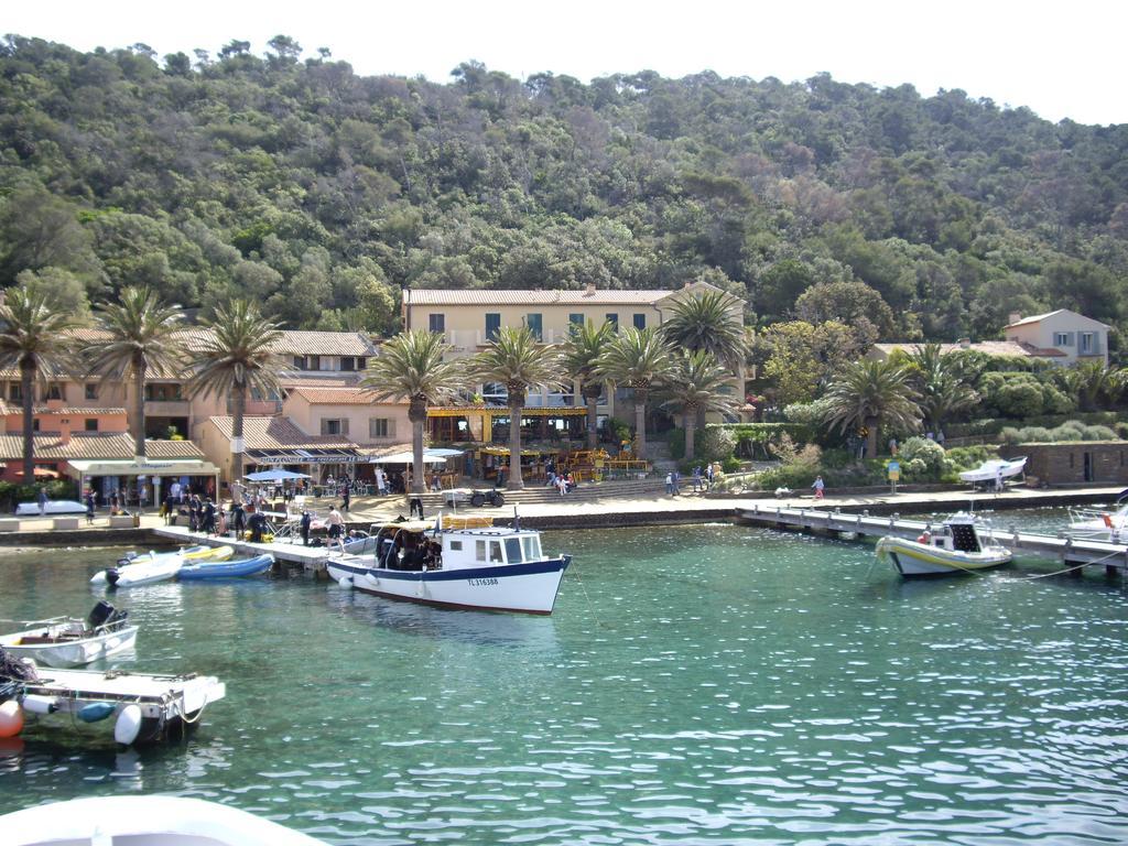 Hotel Les Palmiers Bormes-les-Mimosas Buitenkant foto